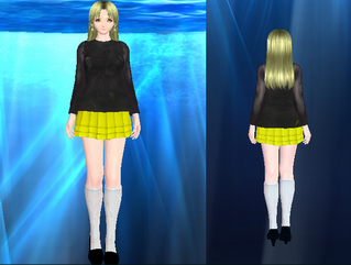 46_29224_1c3a68f92ad071a.png