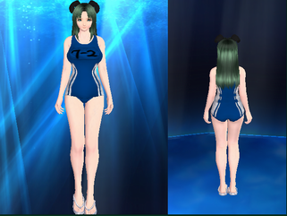 46_29224_52dfcd9da2518ee.png