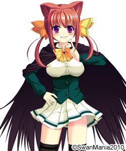 06