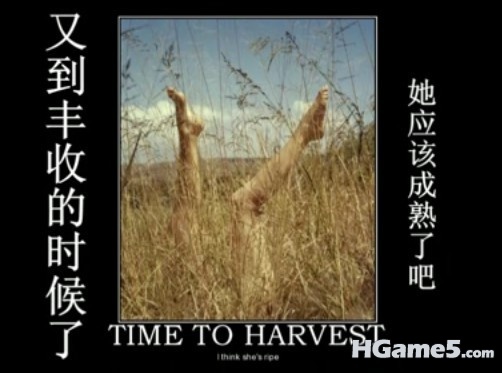 未命名291.jpg