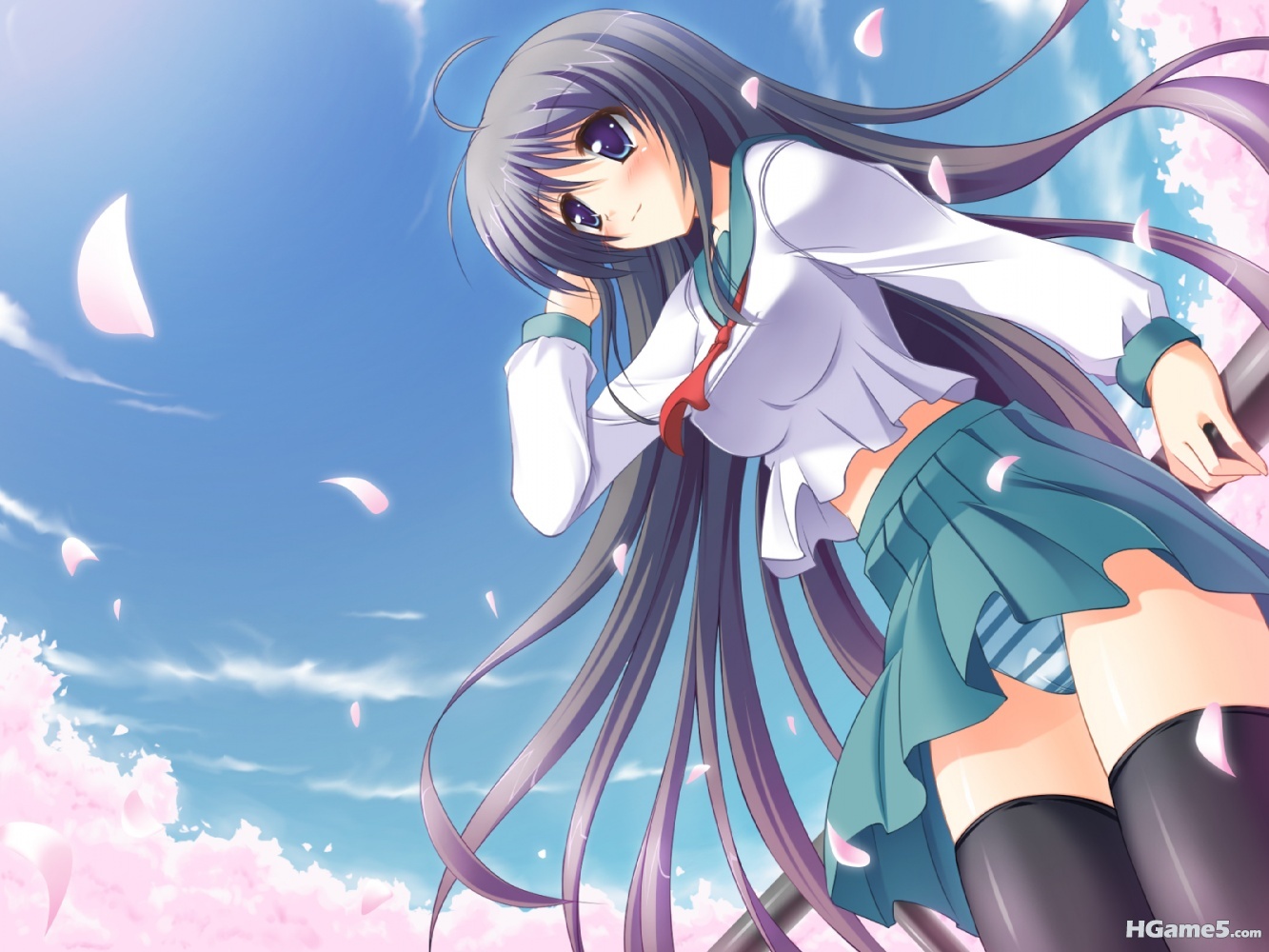 c6fbdb45a1f2f9b7b3b7dc47.jpg
