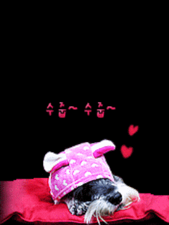 21722136_309229340.gif