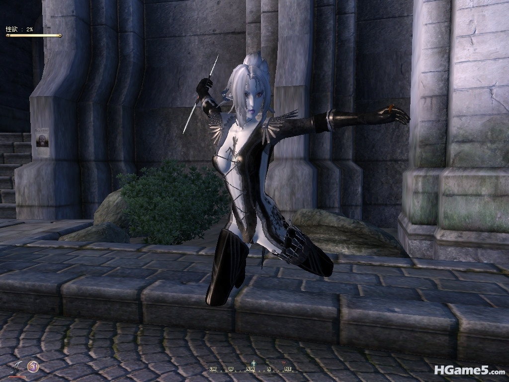 Oblivion 2010-12-18 15-40-08-04_副本.jpg