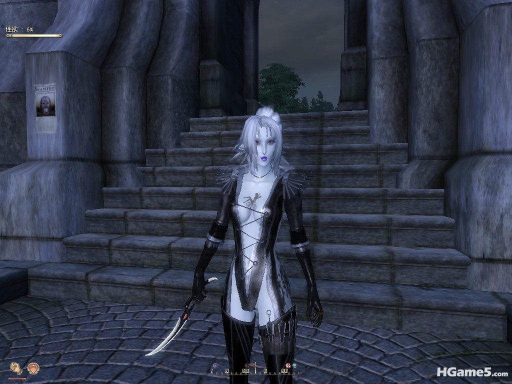 Oblivion 2010-12-18 15-34-59-29_副本.jpg
