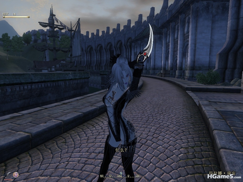 Oblivion 2010-12-18 15-39-31-46_副本.jpg