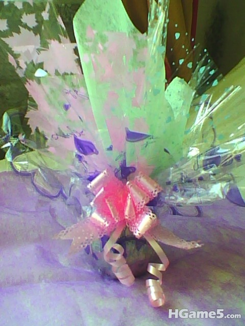 IMG0034A.jpg