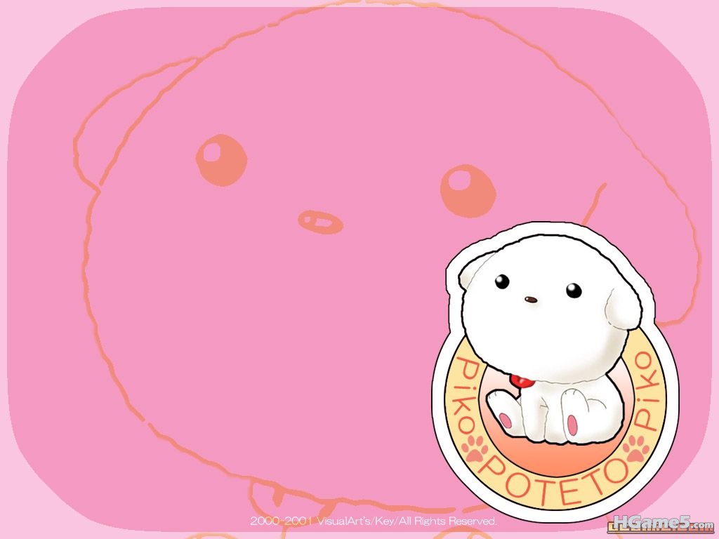6_901mkM9f0UYU.jpg