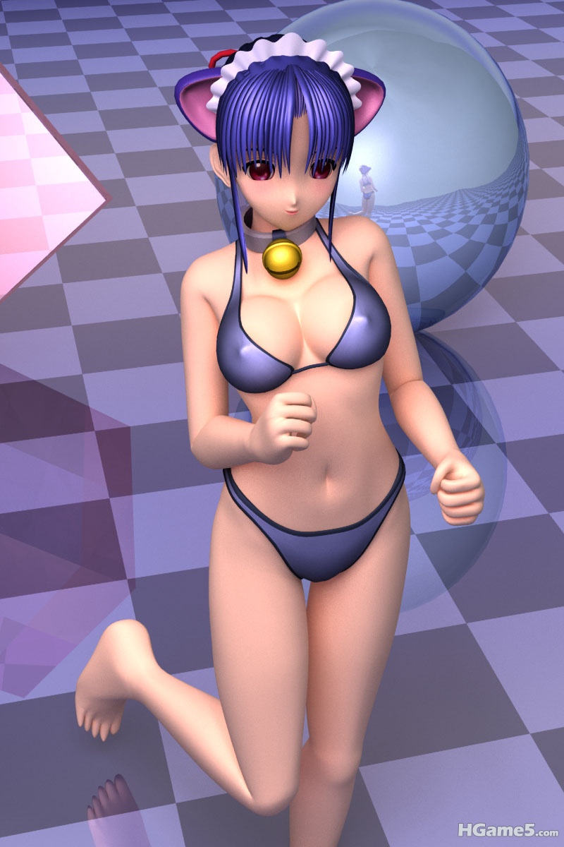 1shu-3d_c16.jpg