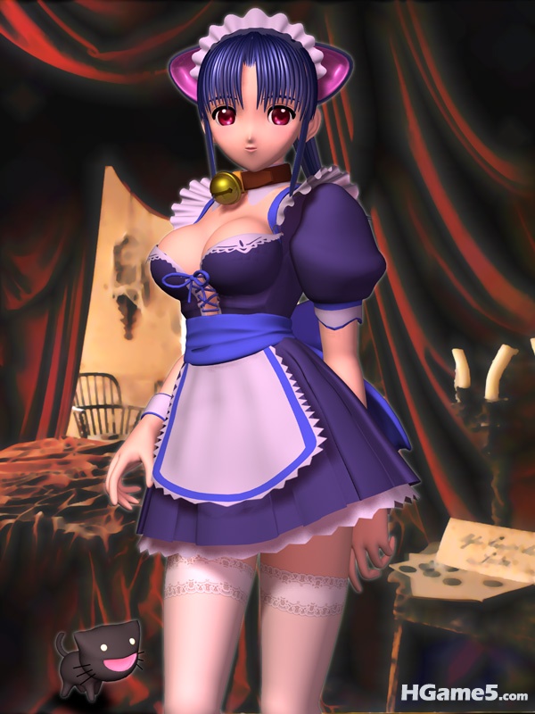 shu-3d_c11.jpg