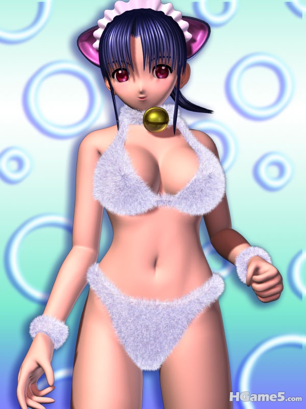 shu-3d_c13.jpg