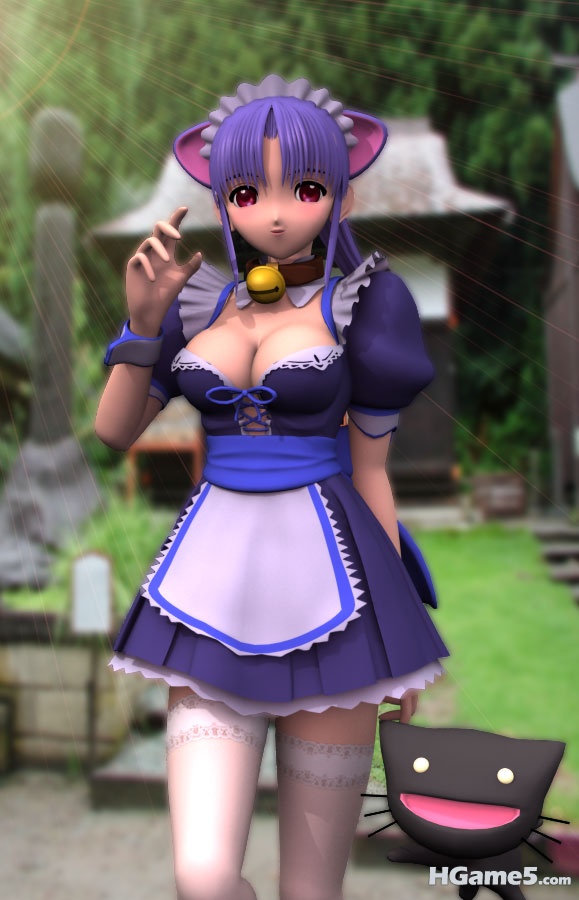 shu-3d_c12.jpg