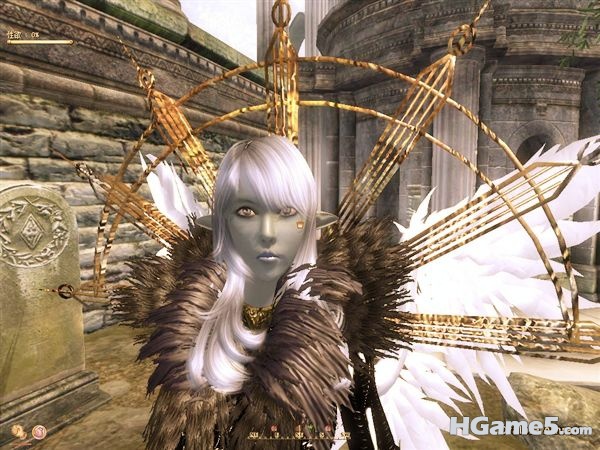 Oblivion 2011-01-09 18-54-03-75_副本.jpg
