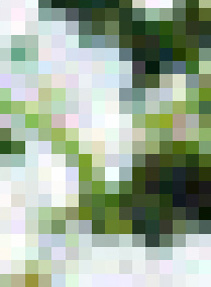 010102000000002.jpg