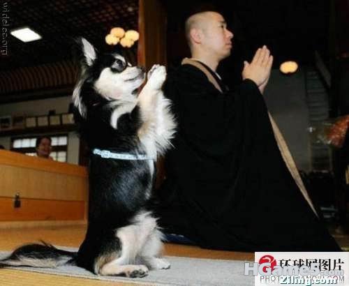 无标题.jpg