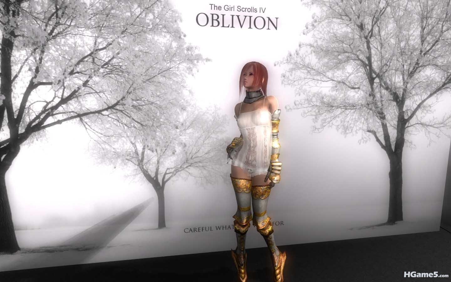 Oblivion 2011-01-27 17-13-47-63.jpg