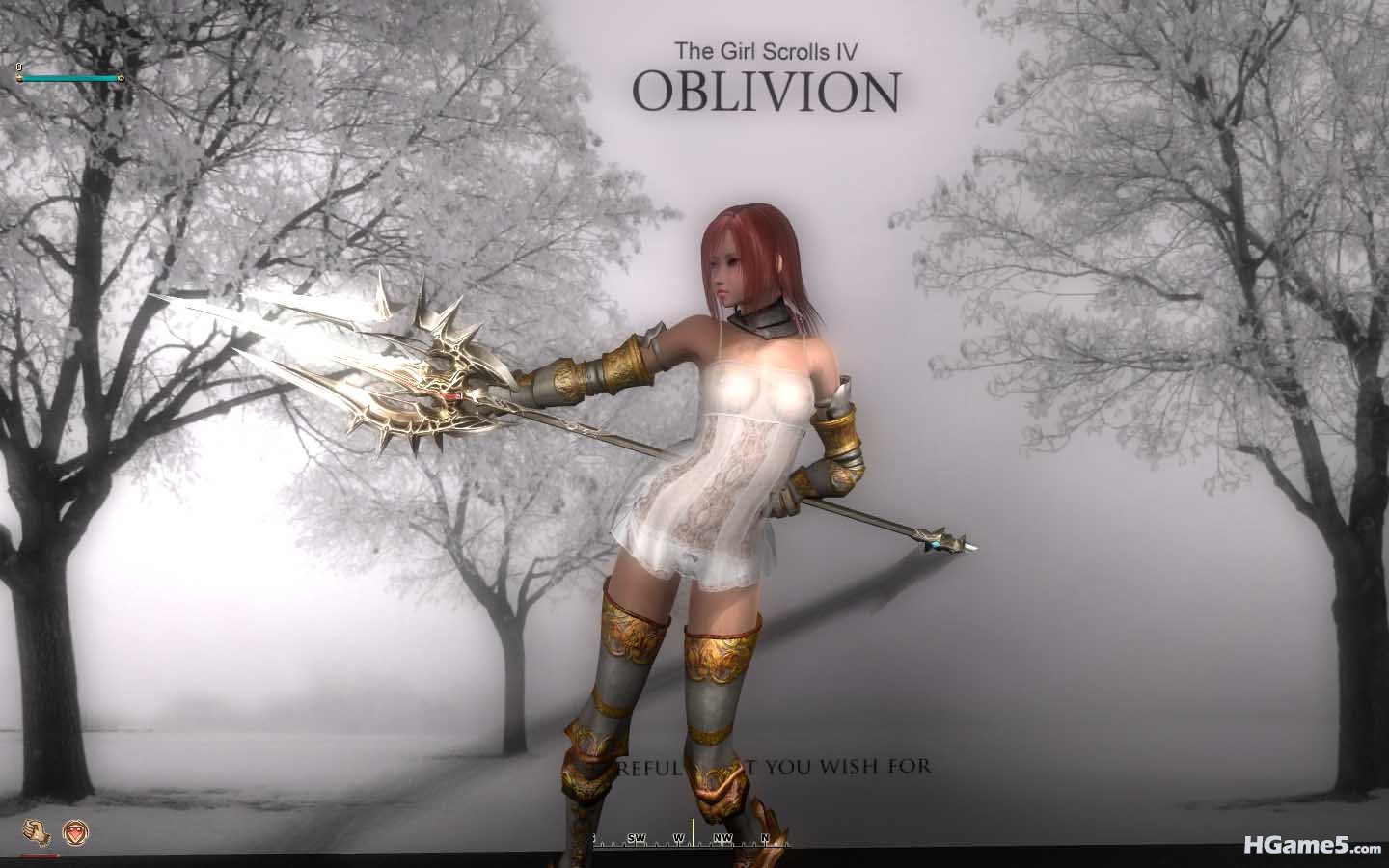 Oblivion 2011-01-27 17-38-42-77.jpg
