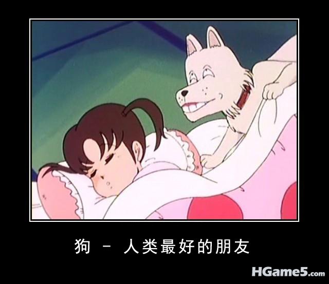Dogs.jpg