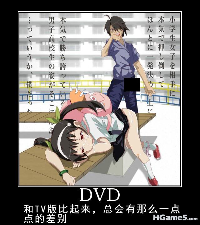 DVD_Cut.jpg