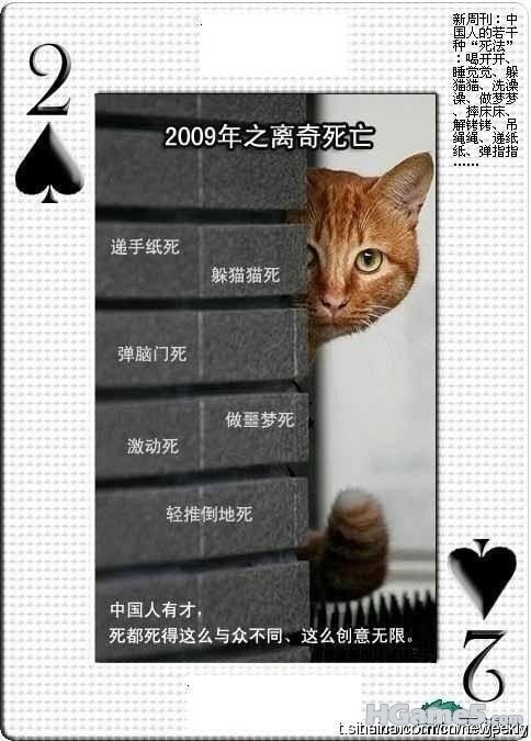 创意无限啊.jpg