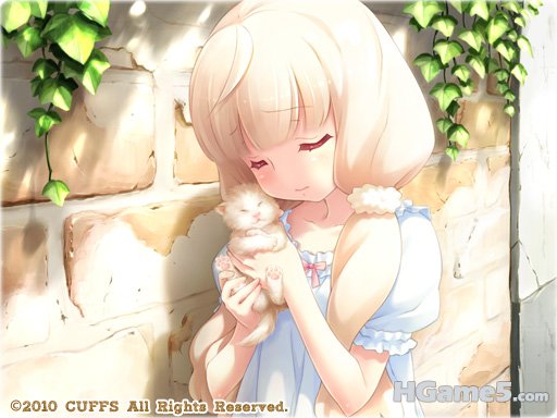 cg01.jpg