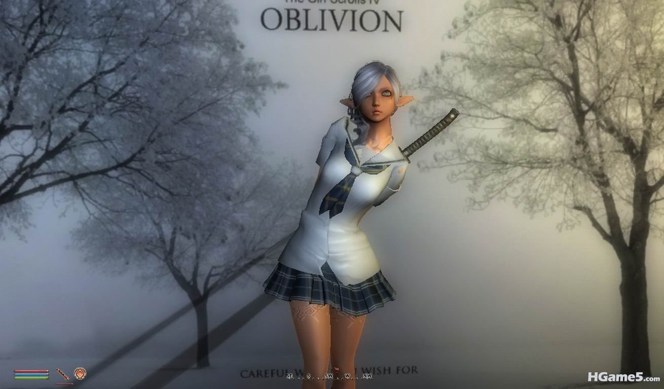 调整大小 Oblivion 2011-02-11 14-43-46-81.jpg
