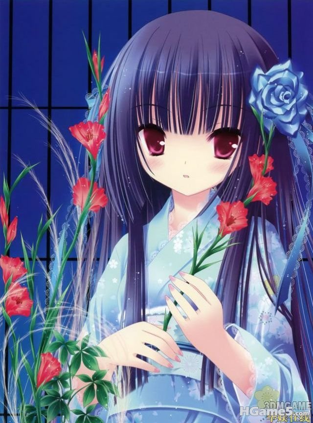 Medium_20110228135905647.jpg