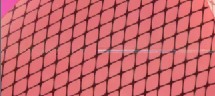 g)7rqsl%w4@io]okxe]r7ll.jpg