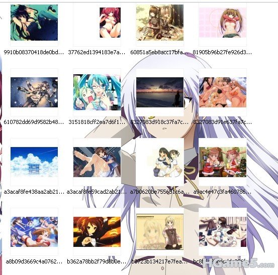 o.jpg