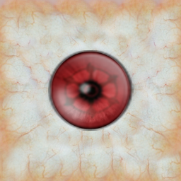 09.bmp