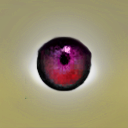 10.bmp