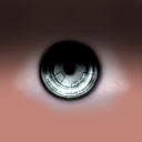 14.bmp