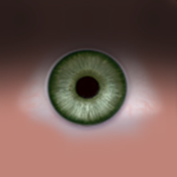 22.bmp