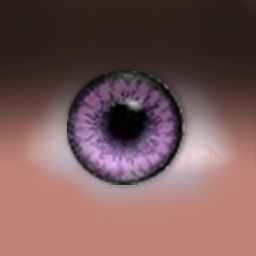 23.bmp
