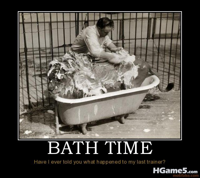 bath-time-animals-funny-wild-life-food-demotivational-poster-1274611026.jpg
