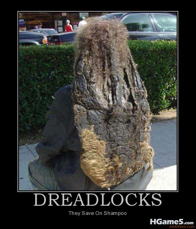 dreadlocks-demotivational-poster-1236567532.jpg
