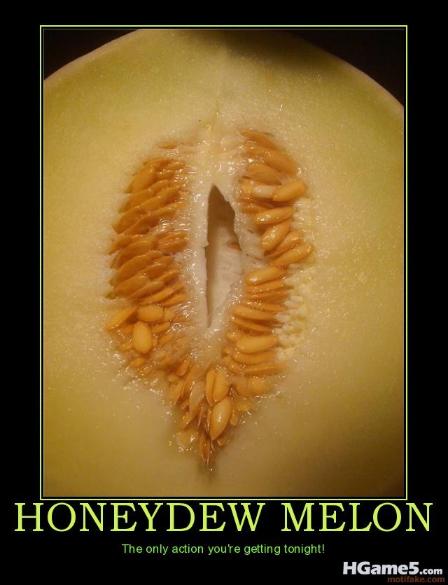 honeydew-melon-fruit-is-juicy-demotivational-poster-1273957990.jpg