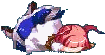 未命名.gif