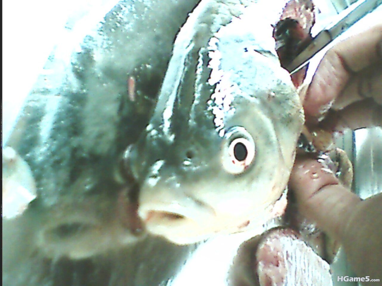 IMG0149A.jpg