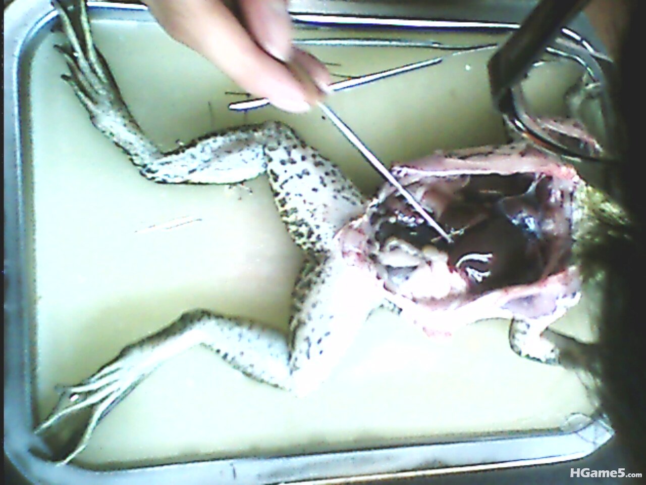 IMG0191A.jpg