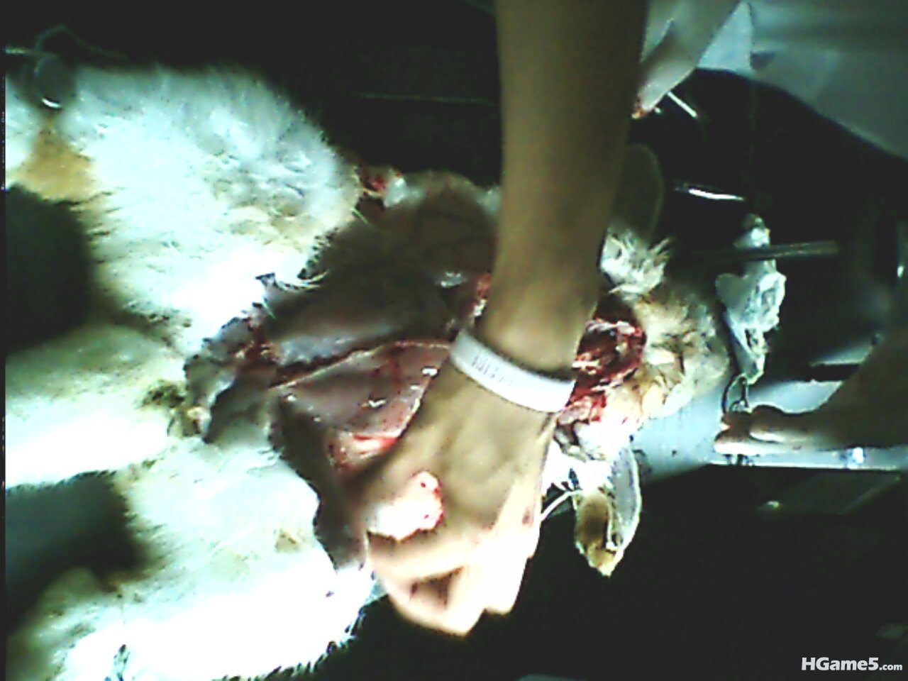 IMG0196A.jpg