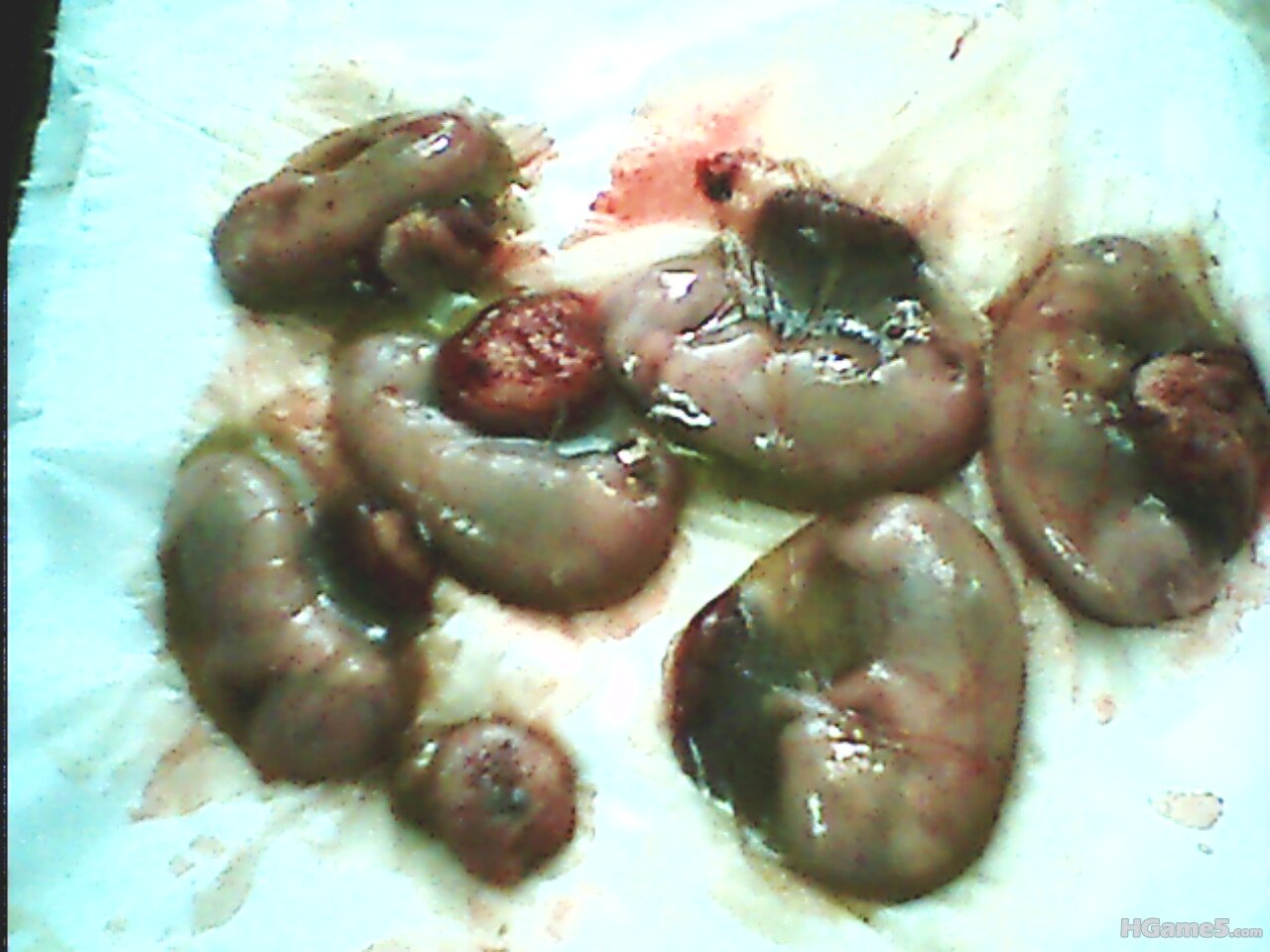 IMG0199A.jpg
