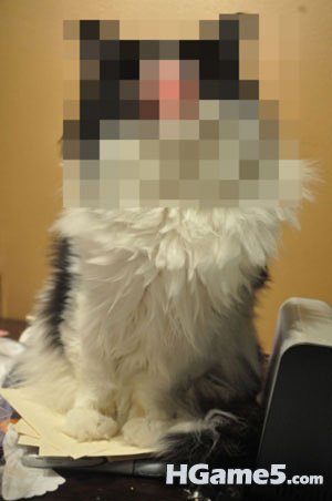 medium.jpg