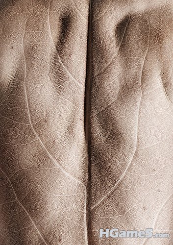5612551751_df2b17a905.jpg