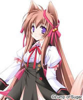 8605f5f85a07a62cd9f9fdd4.jpg
