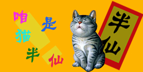 猫半仙.jpg
