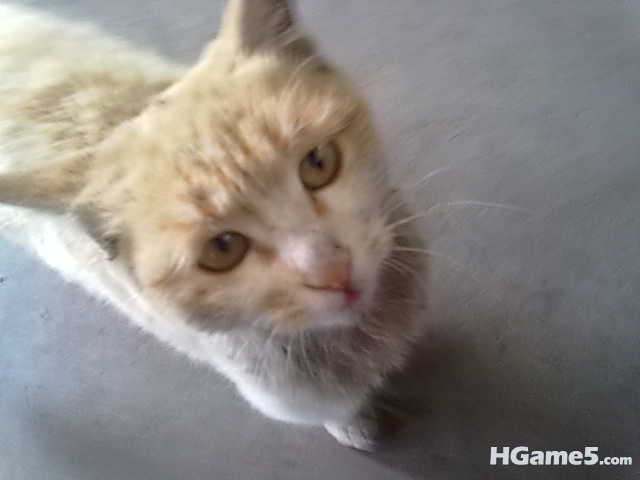 20110312049.jpg
