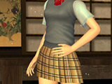 DOA_ayane02_v.jpg