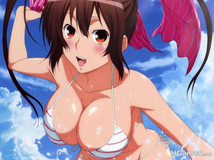 thumb_d_35417.jpg