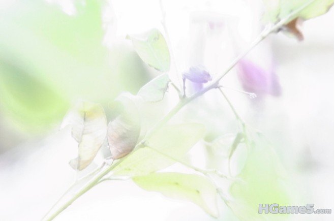 154114bvz87vbb3tb87btl.jpg