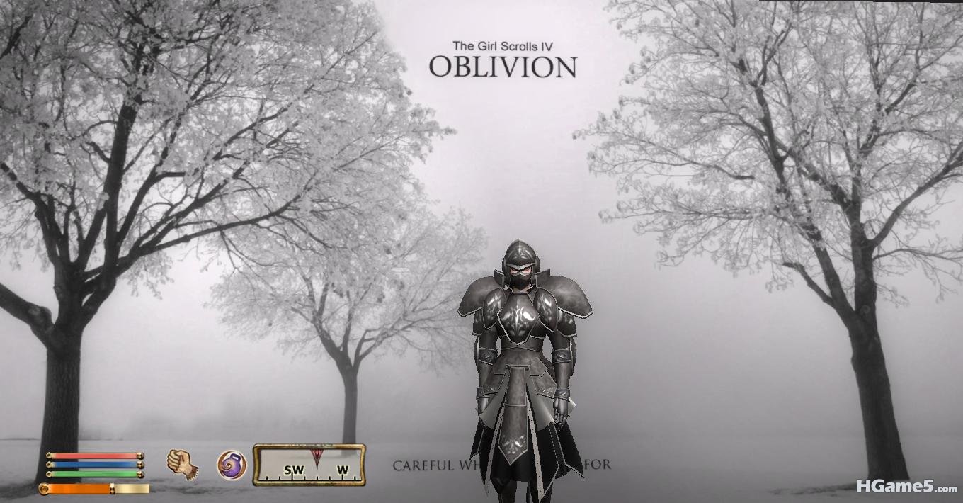 Oblivion 2011-05-11 14-09-27-67.jpg